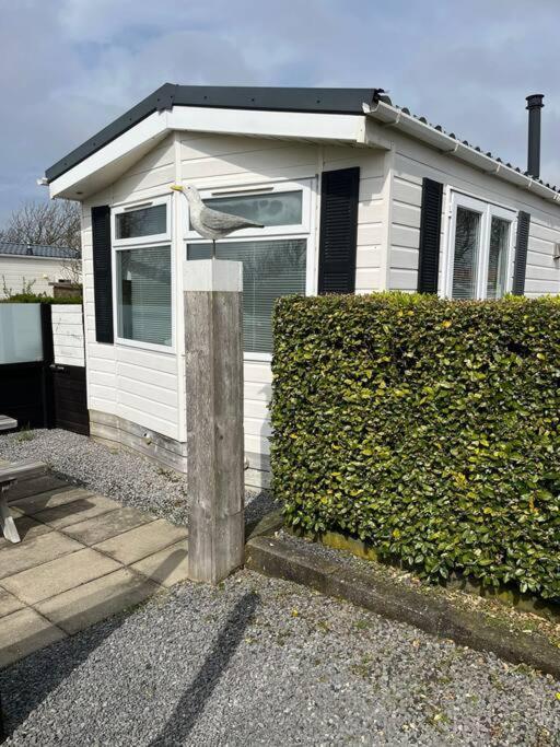 Chalet + Tiny House Nabij Strand Petten Eksteriør bilde