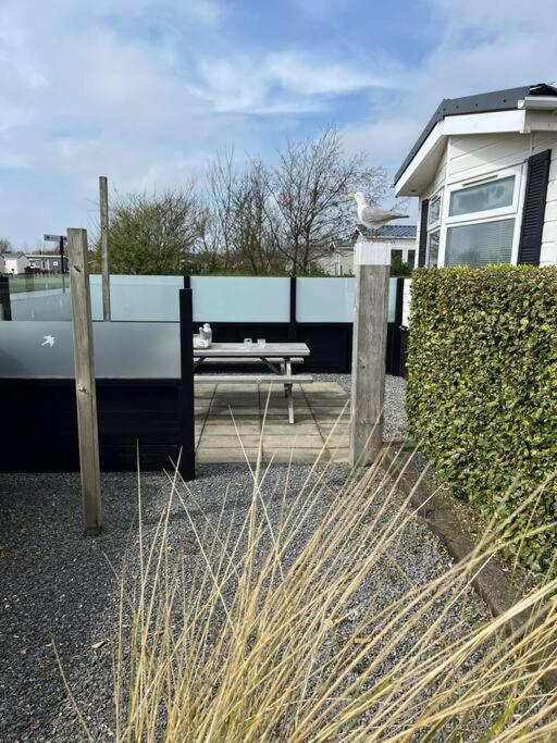 Chalet + Tiny House Nabij Strand Petten Eksteriør bilde