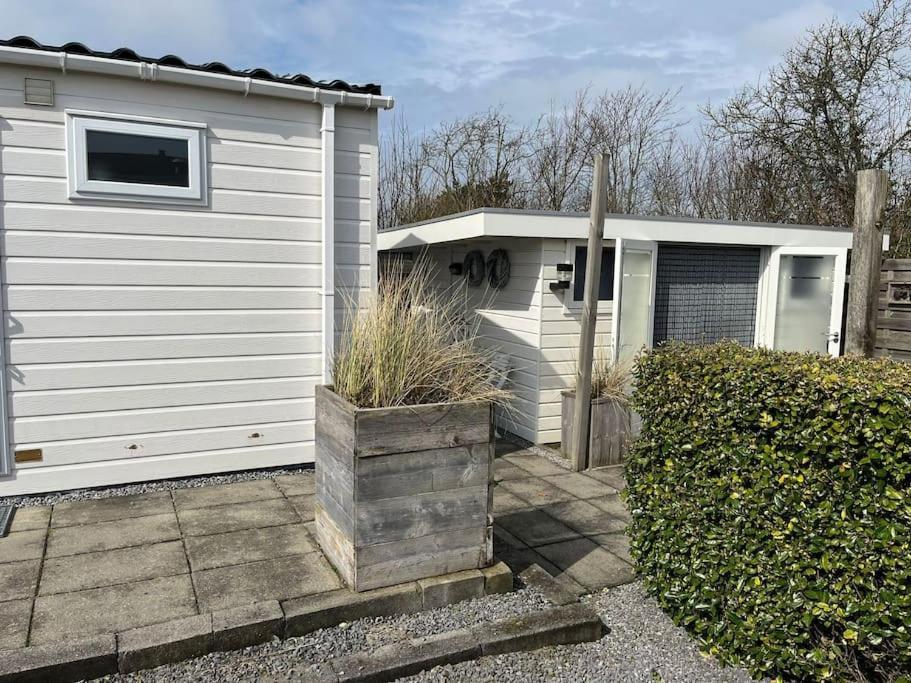 Chalet + Tiny House Nabij Strand Petten Eksteriør bilde