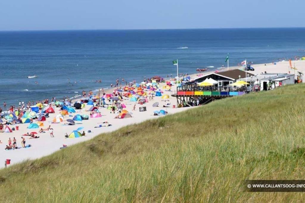 Chalet + Tiny House Nabij Strand Petten Eksteriør bilde